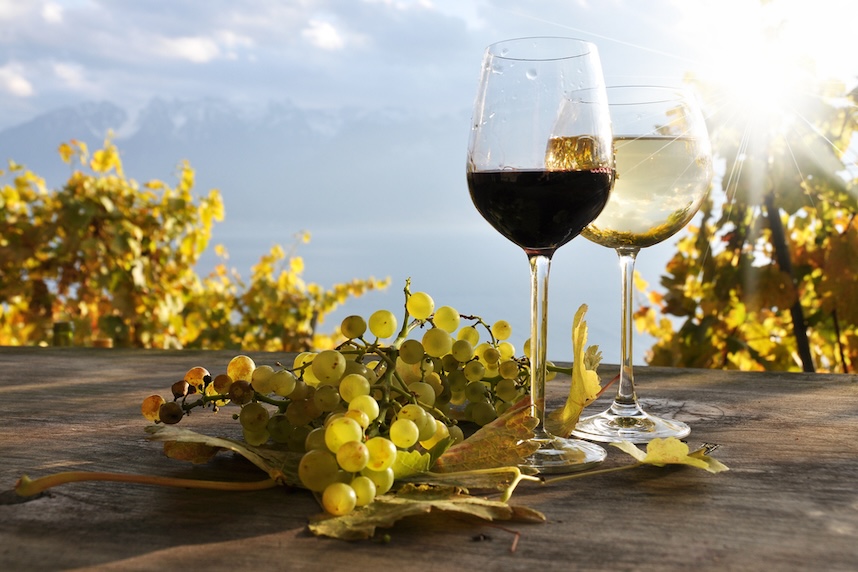 Weine in den Vereinigten Staaten: Eine Reise in die Weintradition jenseits des Atlantiks